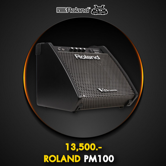 ROLAND PM100