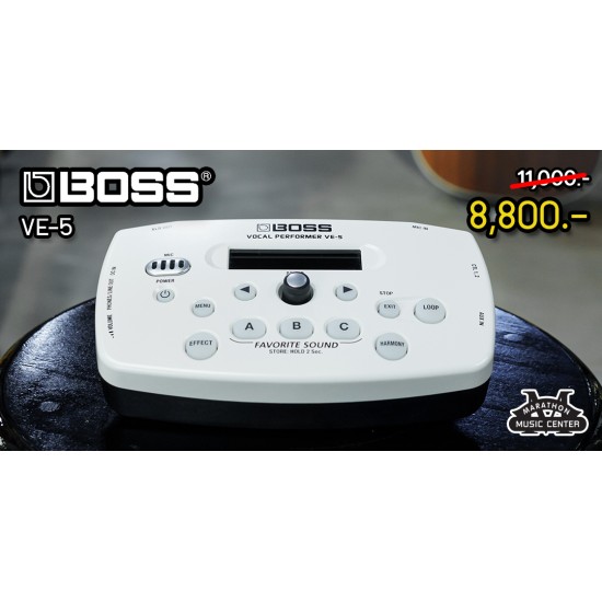 Boss VE5 Vocal Performer