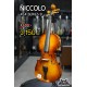 Niccolo 4/4 Series B