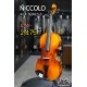 Niccolo 4/4 Series C