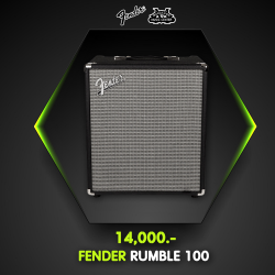 FENDER RUMBLE 100
