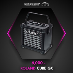 ROLAND CUBE GX