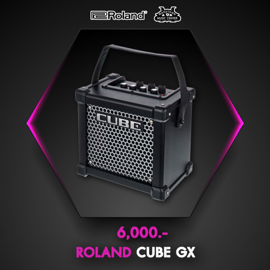ROLAND CUBE GX