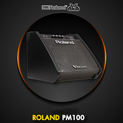 ROLAND PM100
