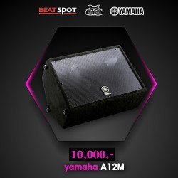 yamaha A12M yamaha A12M