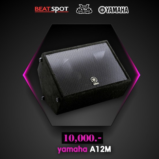 yamaha A12M