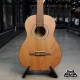 Fender FA-25N