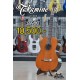 Takamine D36S