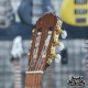 Takamine D36S