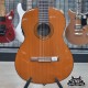 YAMAHA CGX102