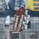 YAMAHA CGX102