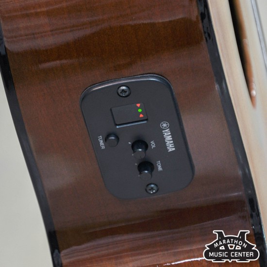 YAMAHA CGX102