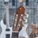 Yamaha CGS102A