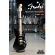 Fender American Performer Stratocaster HSS