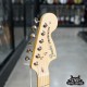 Fender American Performer Stratocaster HSS