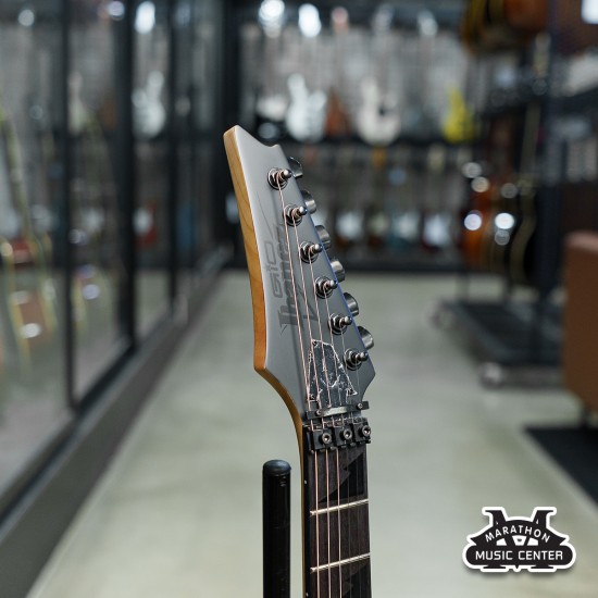 Ibanez GRGR330EX