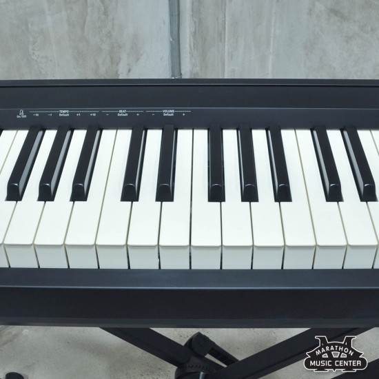 ROLAND FP10