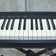 ROLAND FP10