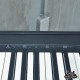 ROLAND FP10