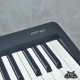 ROLAND FP10