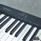 ROLAND FP10