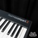 Studiologic Numa Compact 2
