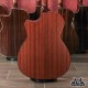 Crafter HT-200CE