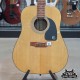 Epiphone Pro-1