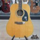 Epiphone Pro 1 Plus