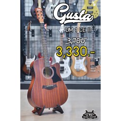 Gusta DM1CE II