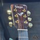 Saga DM100