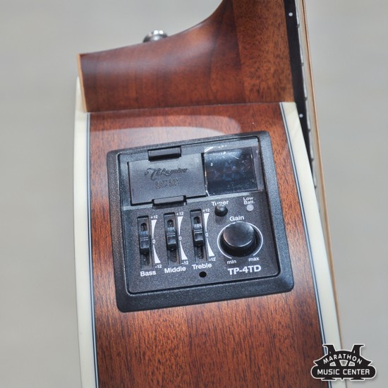 Takamine GD20