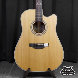 Takamine GD20CE