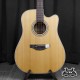 Takamine GD20CE