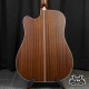 Takamine GD20CE