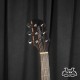 Takamine GD20CE