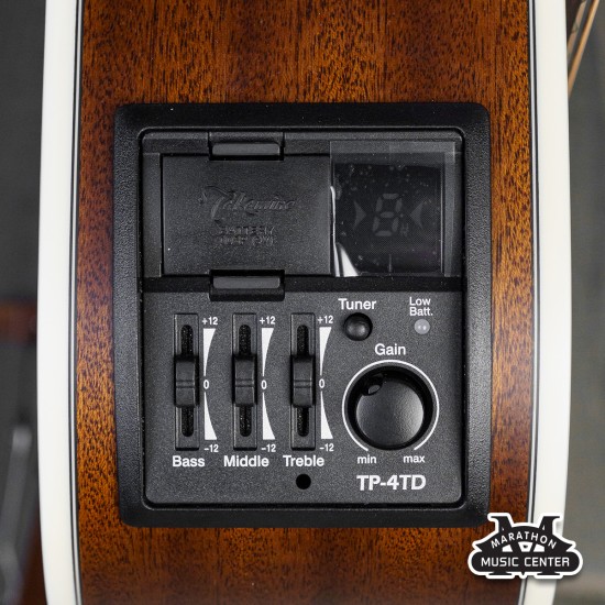 Takamine GD20CE