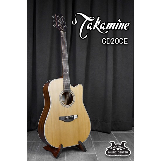 Takamine GD20CE