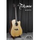 Takamine GD20CE