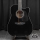 Takamine GD30CE