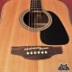 Takamine GD51
