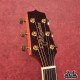 Takamine GD51