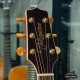 Takamine GD71CE