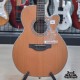 Takamine GN20CE