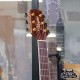 Takamine GN51