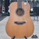 Takamine Natural PRO-series Made in Japan รุ่น P3D 