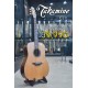Takamine Natural PRO-series Made in Japan รุ่น P3D 
