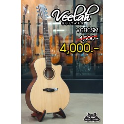 Veelah VGACSM