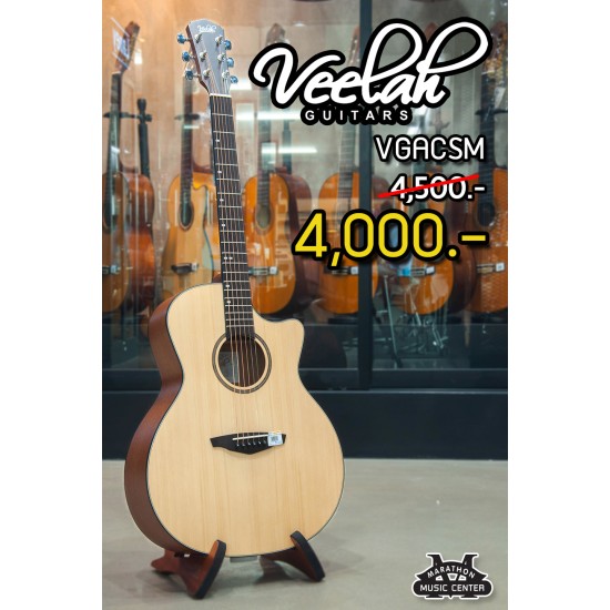 Veelah VGACSM