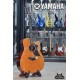 Yamaha A5M